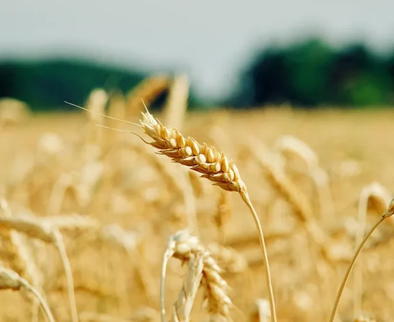 There are many variations of passages of Lorem Ipsum available, but majority have suffered teration in some form, by injected humour, or randomised words which don't look even slight believable. If you are going to use a passage of Lorem Ipsum.